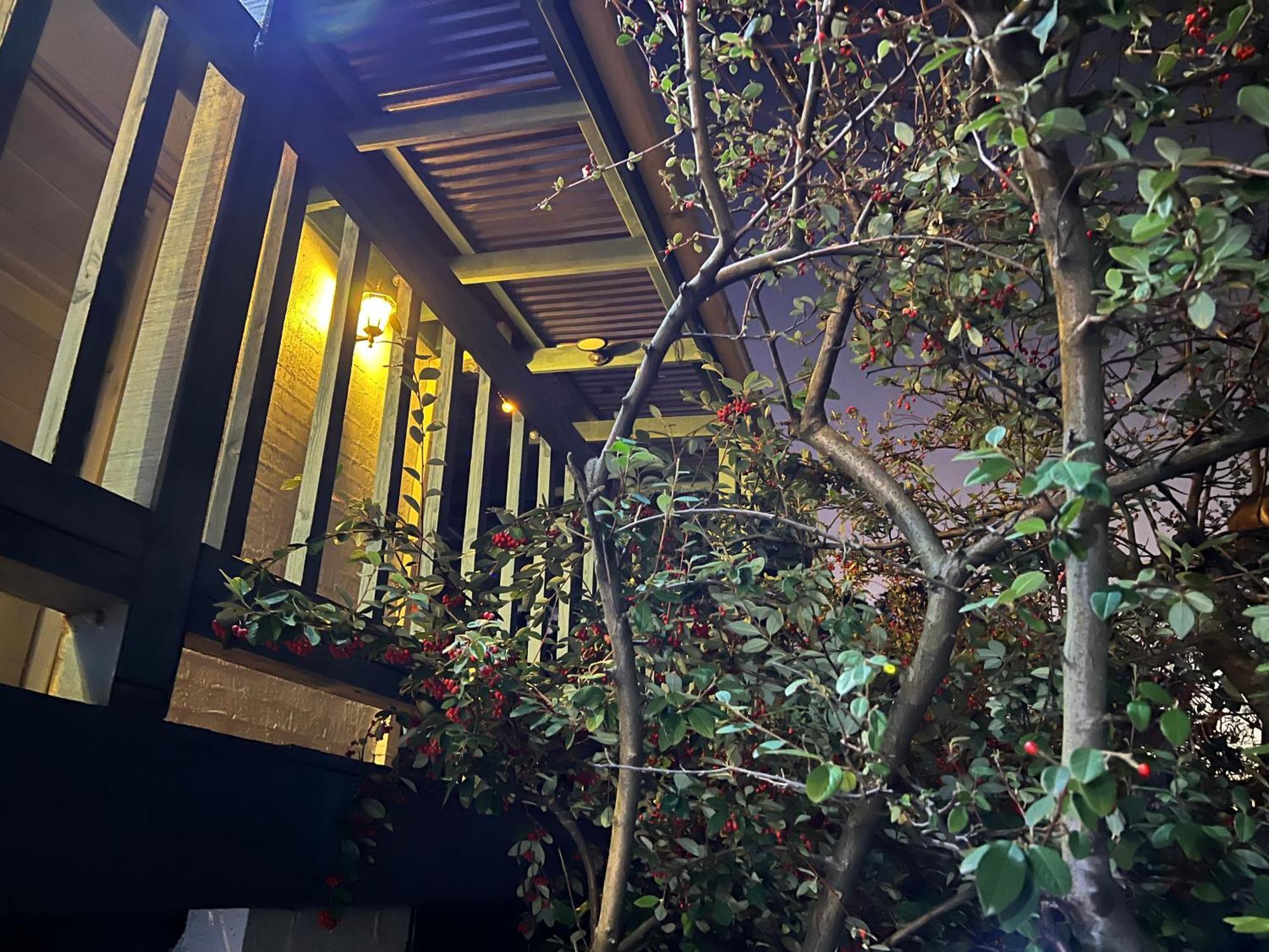 Nest On A Crest Villa Рай Екстериор снимка